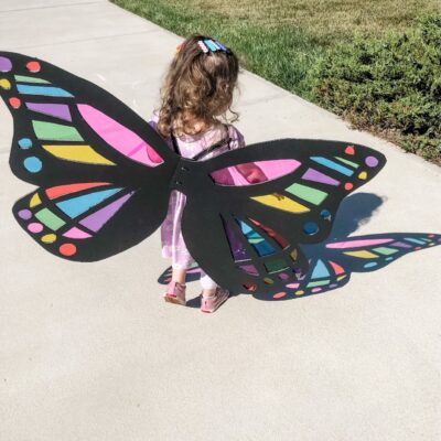 stained glass butterfly wings
